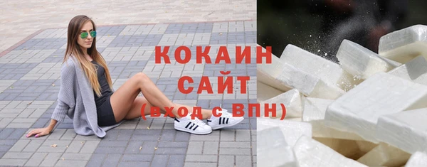 винт Елизово