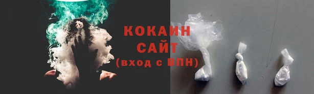 винт Елизово